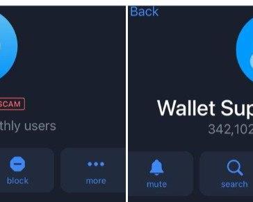 Кибератака на Telegram Wallet: мошенники захватили контроль над ботами / Финансы и криптовалюты / iXBT Live